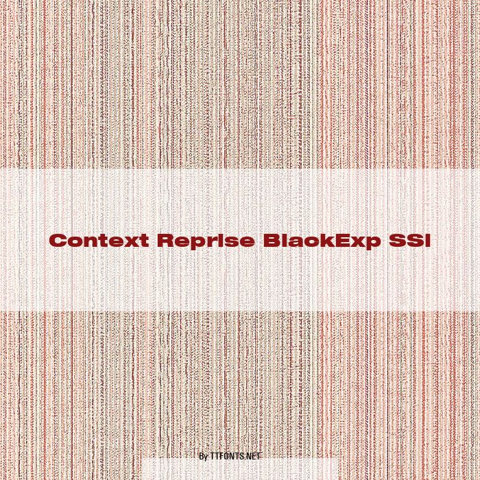 Context Reprise BlackExp SSi example