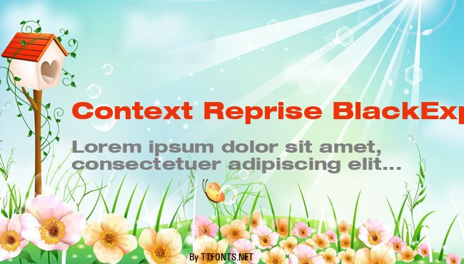 Context Reprise BlackExp SSi example