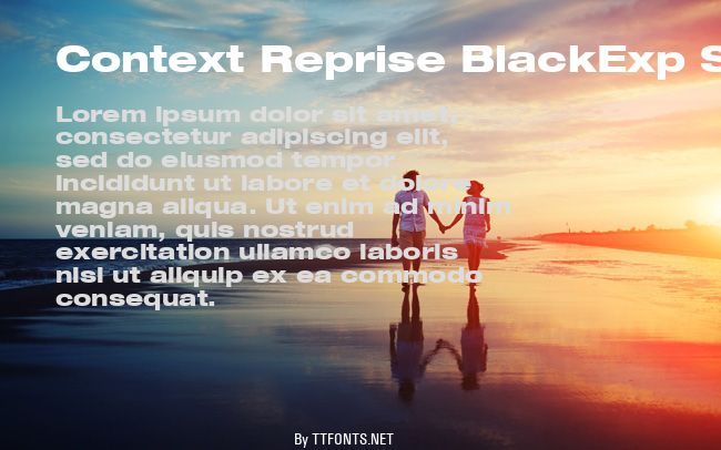 Context Reprise BlackExp SSi example