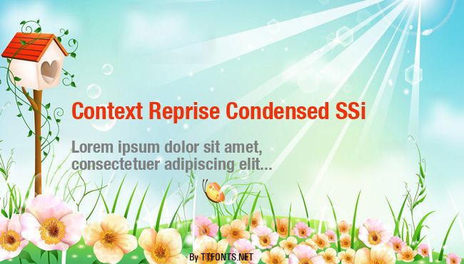 Context Reprise Condensed SSi example