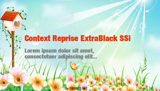 Context Reprise ExtraBlack SSi example