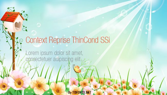 Context Reprise ThinCond SSi example