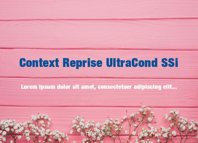 Context Reprise UltraCond SSi example