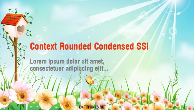 Context Rounded Condensed SSi example