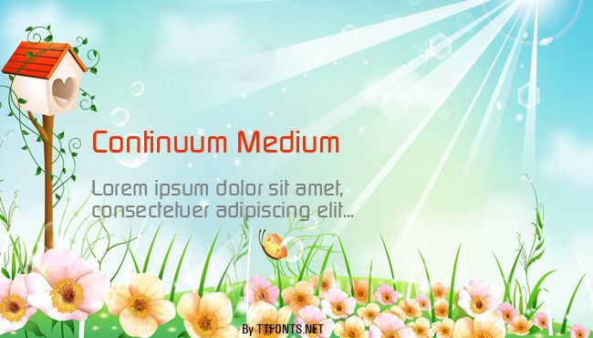 Continuum Medium example