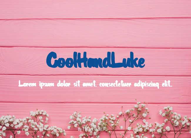CoolHandLuke example