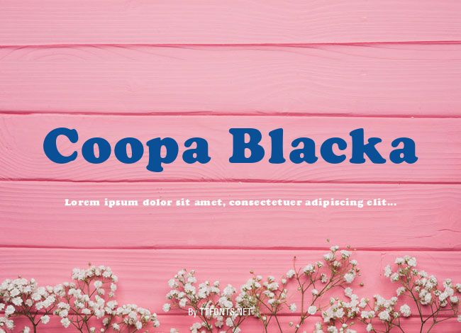 Coopa Blacka example