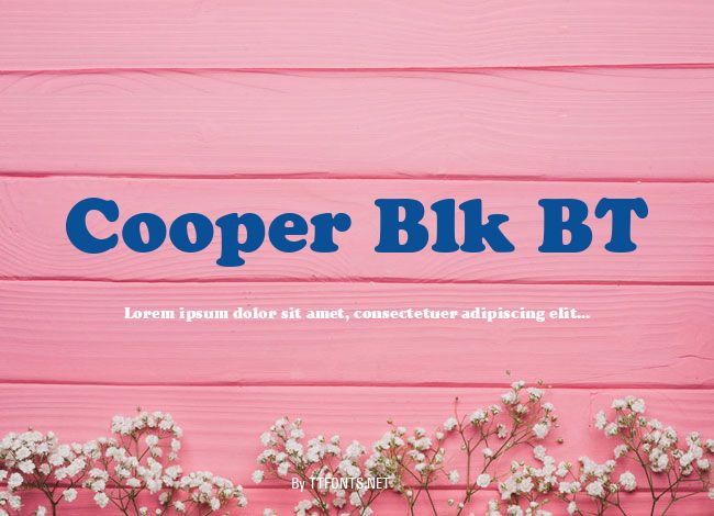 Cooper Blk BT example