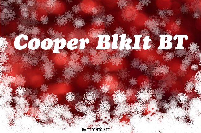 Cooper BlkIt BT example