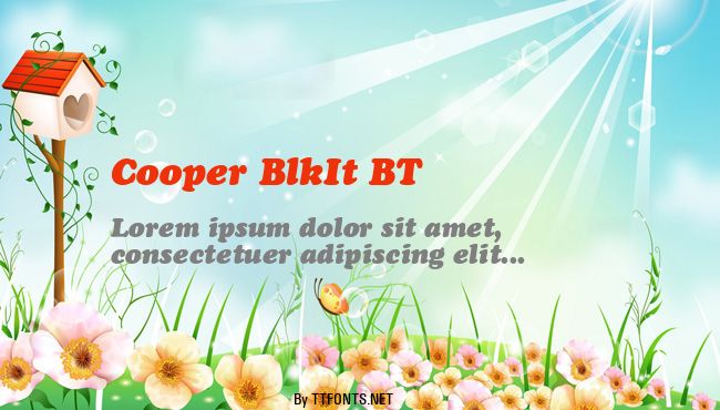 Cooper BlkIt BT example