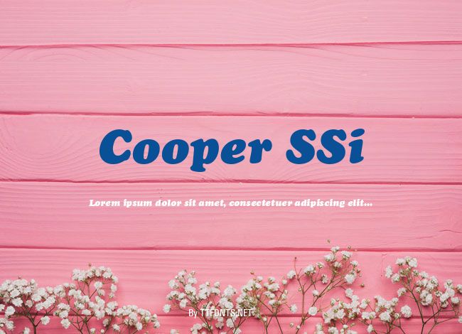 Cooper SSi example