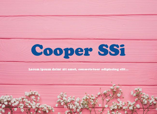 Cooper SSi example