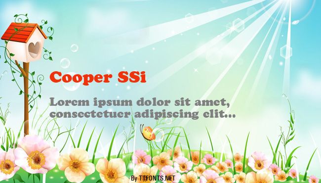 Cooper SSi example
