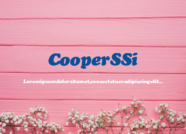 Cooper SSi example