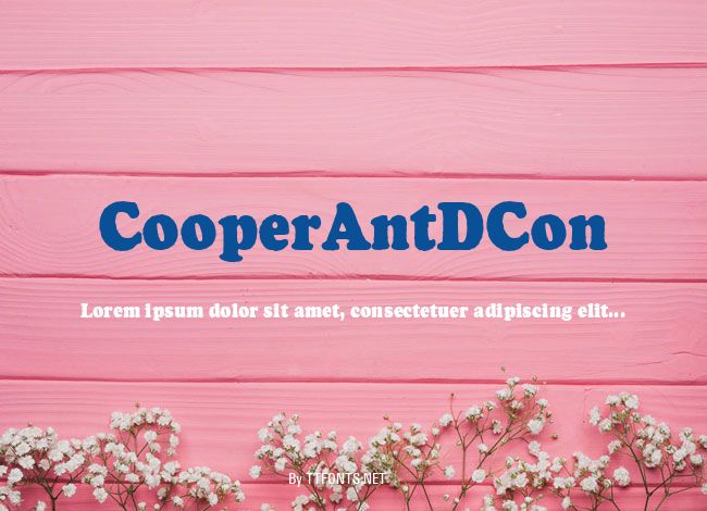 CooperAntDCon example