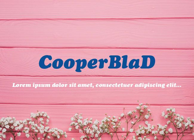 CooperBlaD example