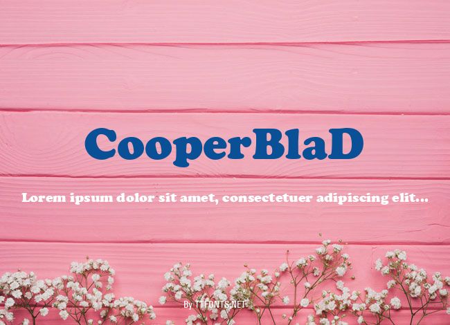 CooperBlaD example