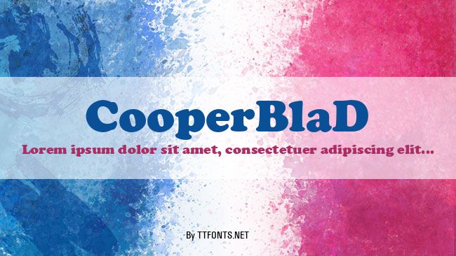 CooperBlaD example
