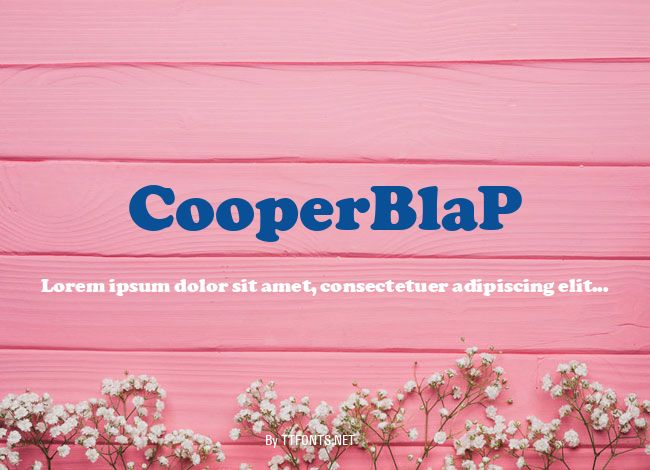 CooperBlaP example