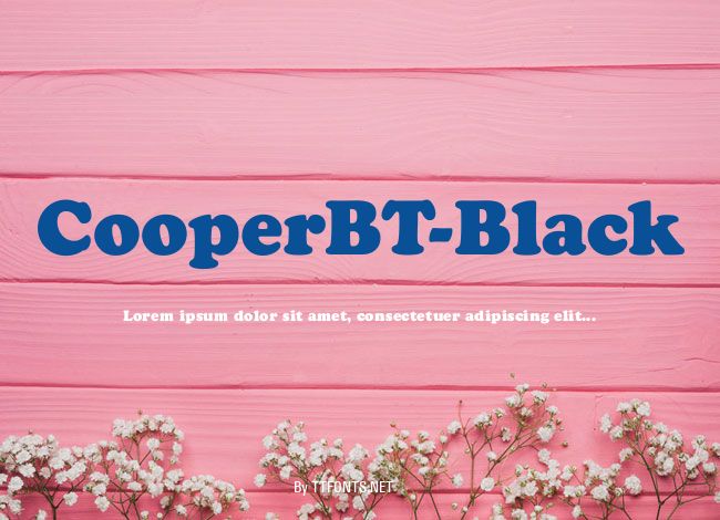 CooperBT-Black example