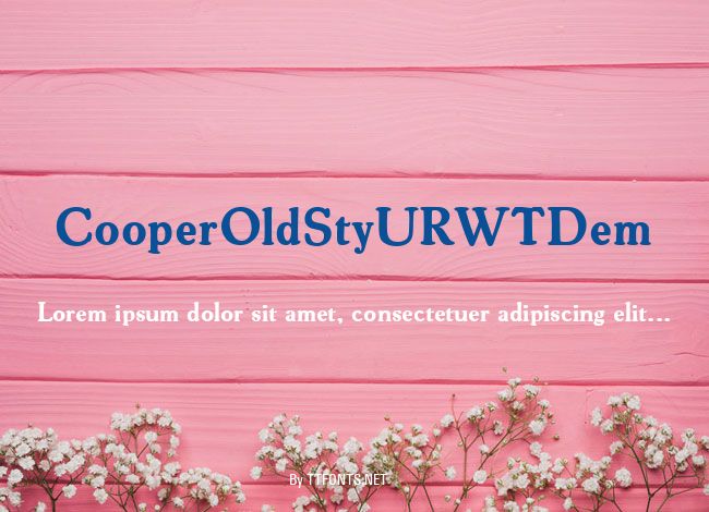 CooperOldStyURWTDem example