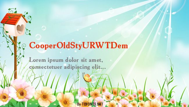 CooperOldStyURWTDem example
