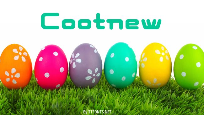 Cootnew example