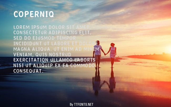 Coperniq example