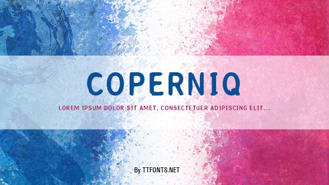 Coperniq example