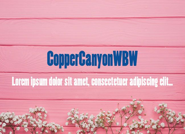 CopperCanyonWBW example