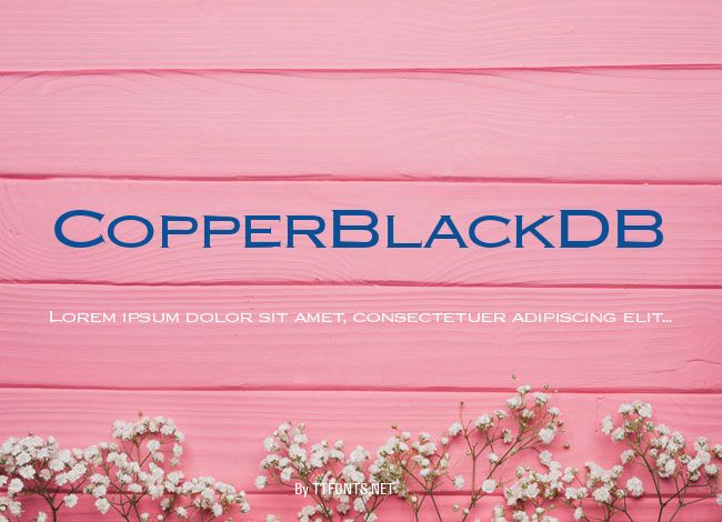 CopperBlackDB example