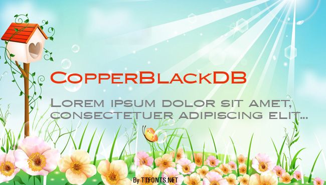 CopperBlackDB example