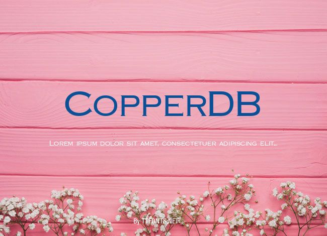 CopperDB example