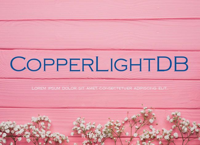 CopperLightDB example