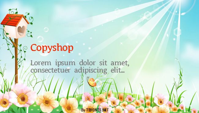 Copyshop example