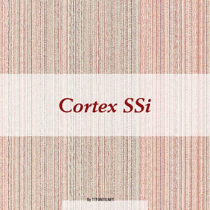 Cortex SSi example