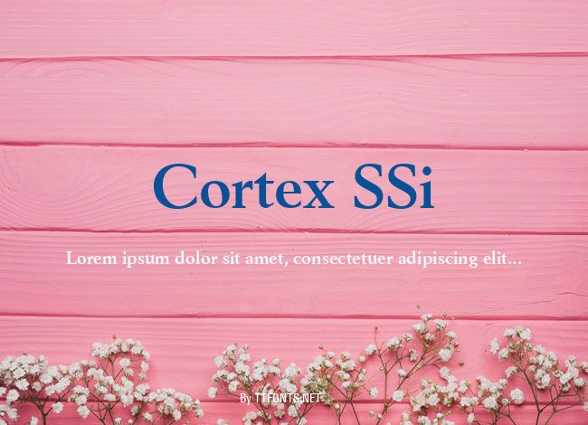 Cortex SSi example