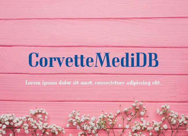 CorvetteMediDB example