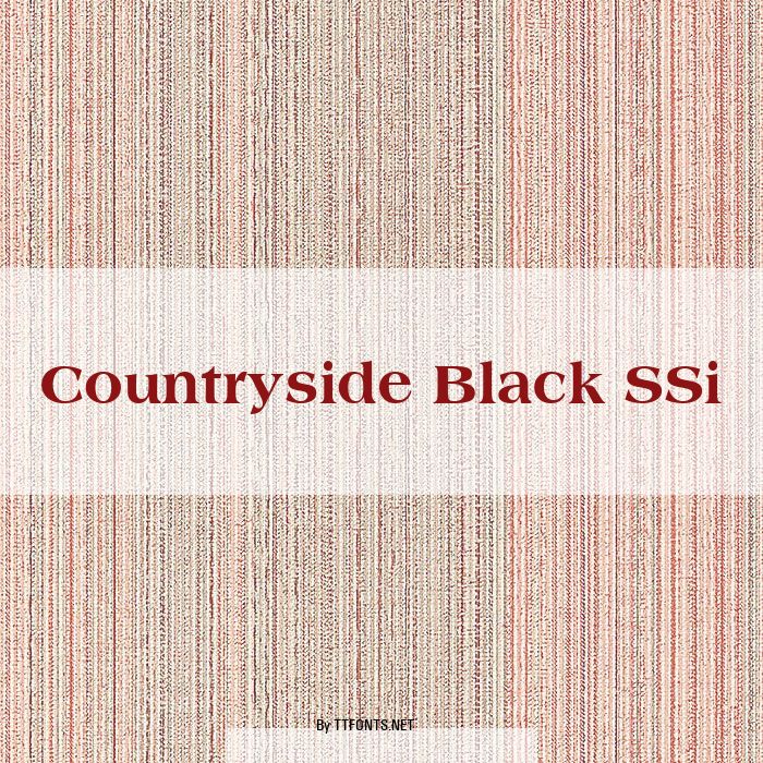 Countryside Black SSi example