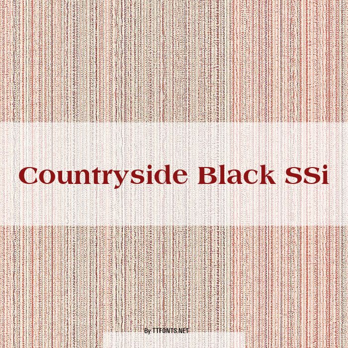 Countryside Black SSi example