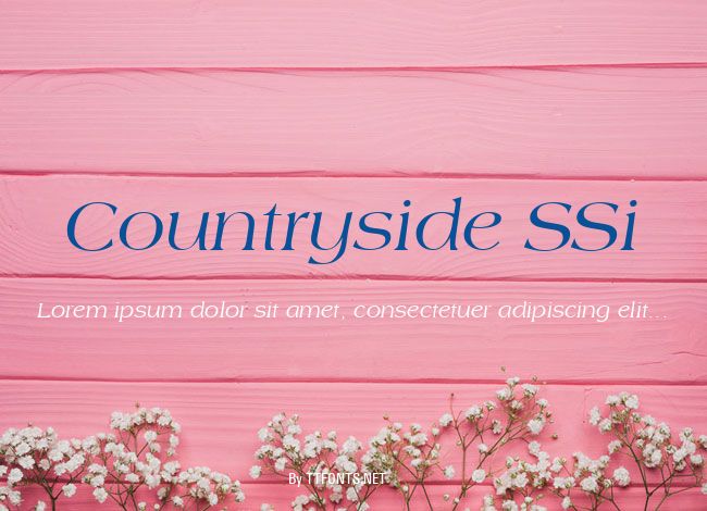 Countryside SSi example