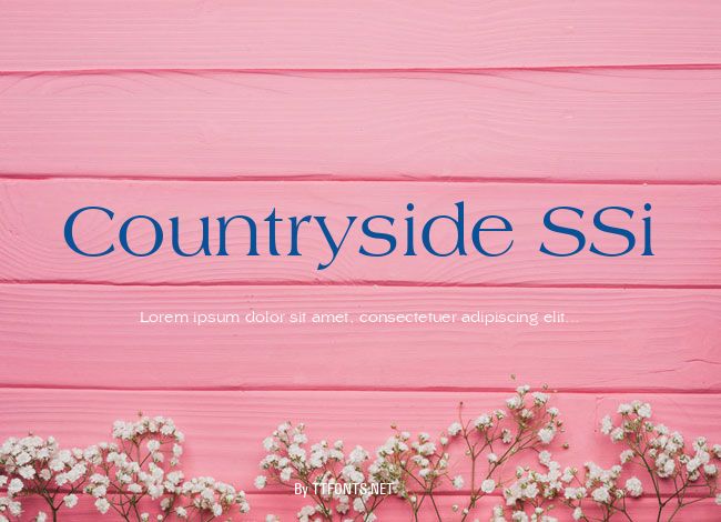 Countryside SSi example