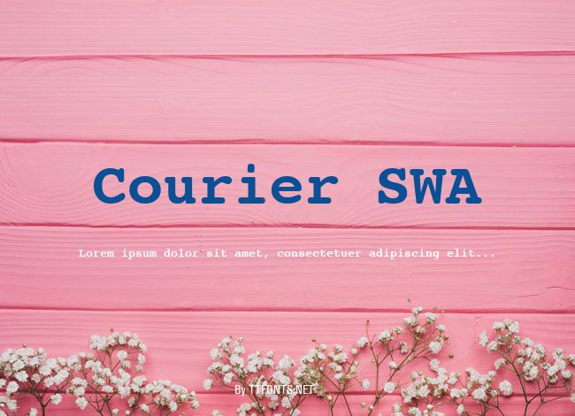 Courier SWA example