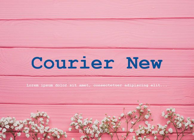 Courier New example