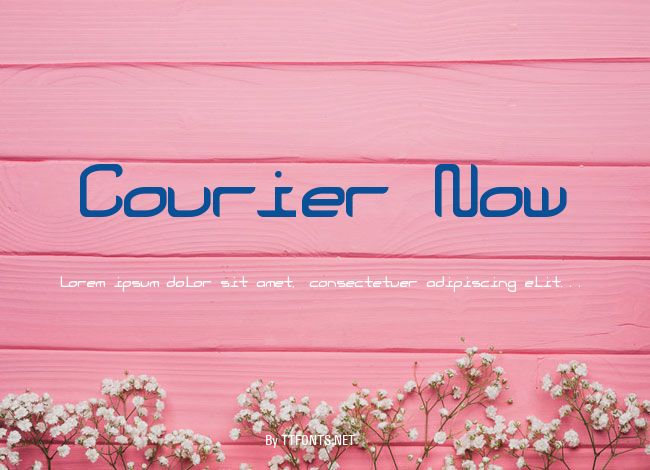 Courier Now example