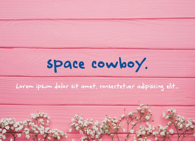 space cowboy. example