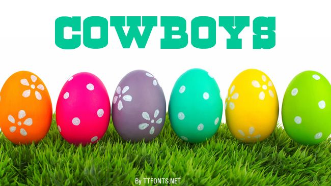Cowboys example