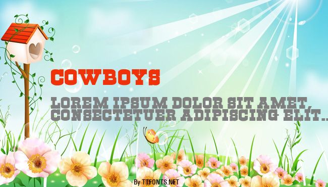 Cowboys example