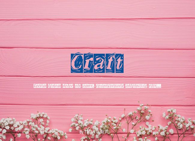 Craft example
