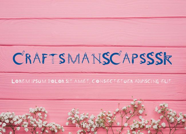 CraftsmanSCapsSSK example